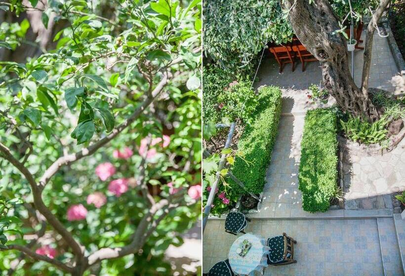 پانسیون Rooms Garden