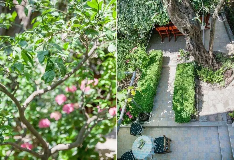 ペンション Rooms Garden