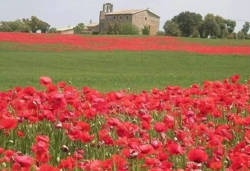 La Caseta De Sant Grau