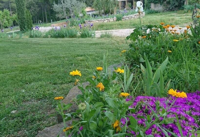 La Caseta De Sant Grau