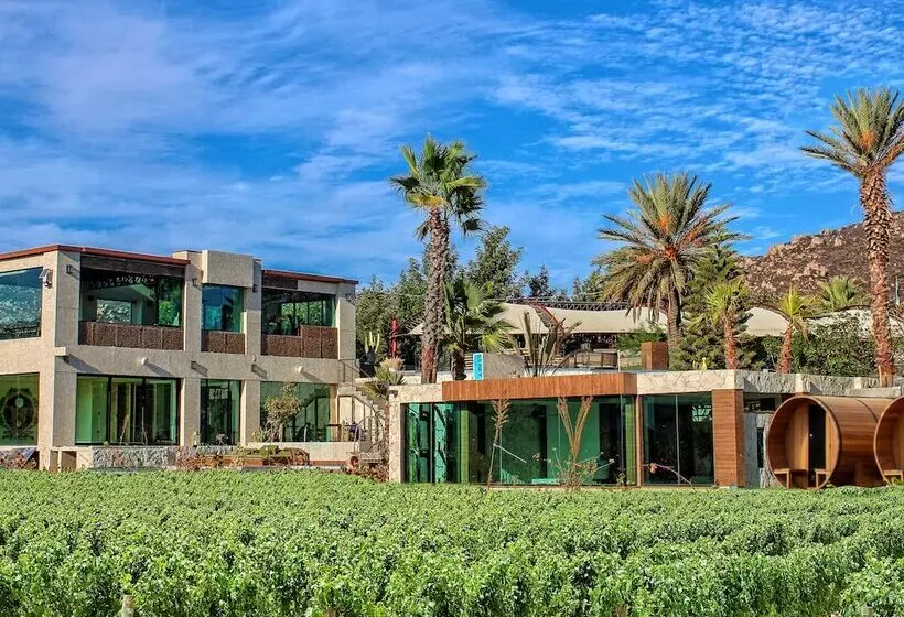 Hotelli Entre Viñedos