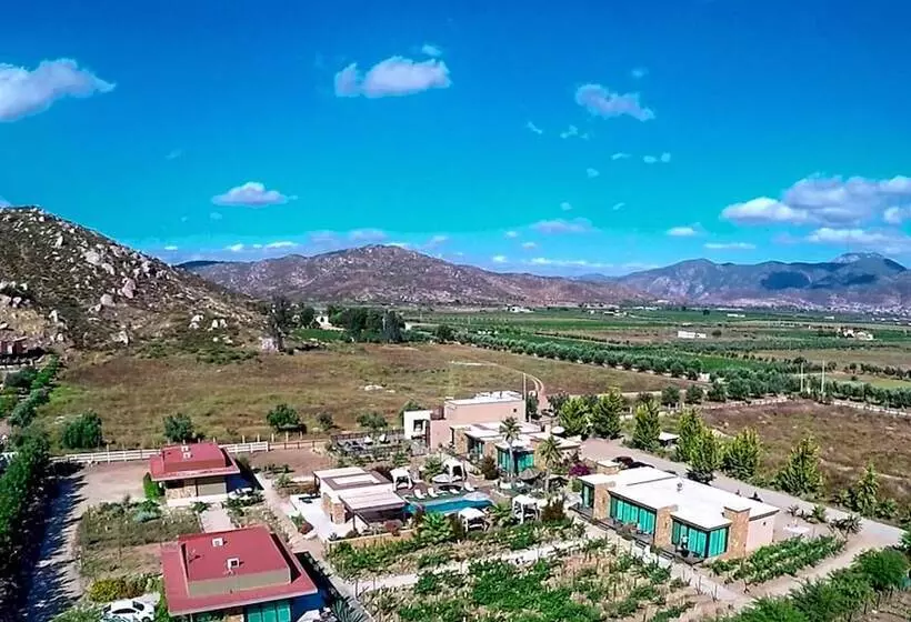 Hotelli Entre Viñedos