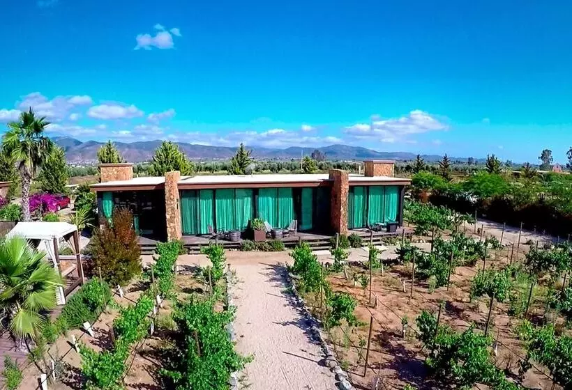 Hotelli Entre Viñedos