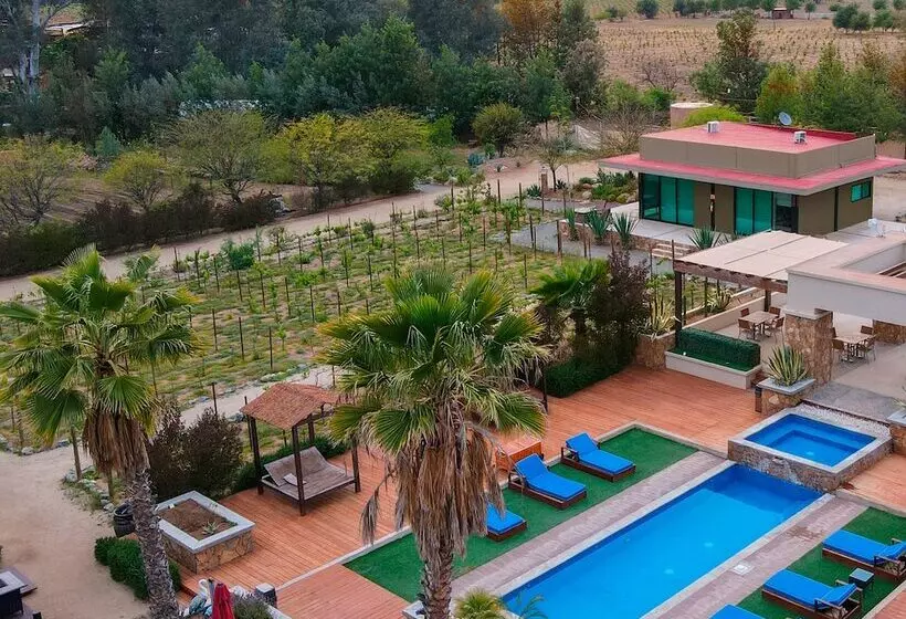 Hotelli Entre Viñedos