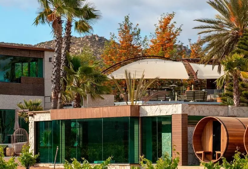 Hotelli Entre Viñedos