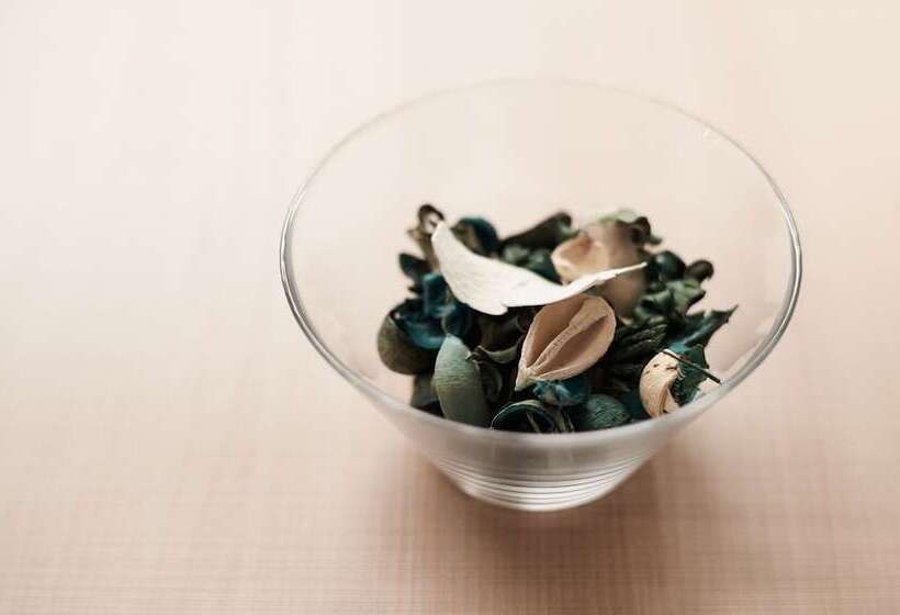 Okayama Square Hotel Plus