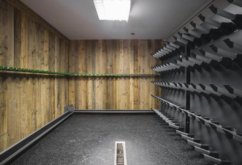 Отель Ciasa Ai Pini