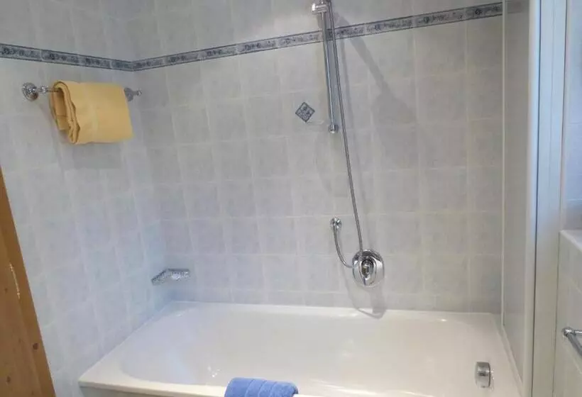 Отель Ciasa Ai Pini