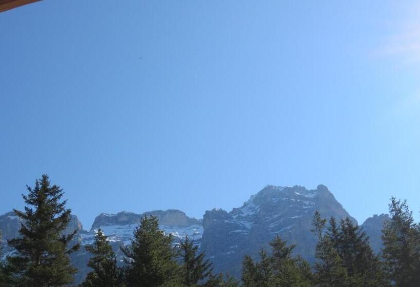 Отель Ciasa Ai Pini