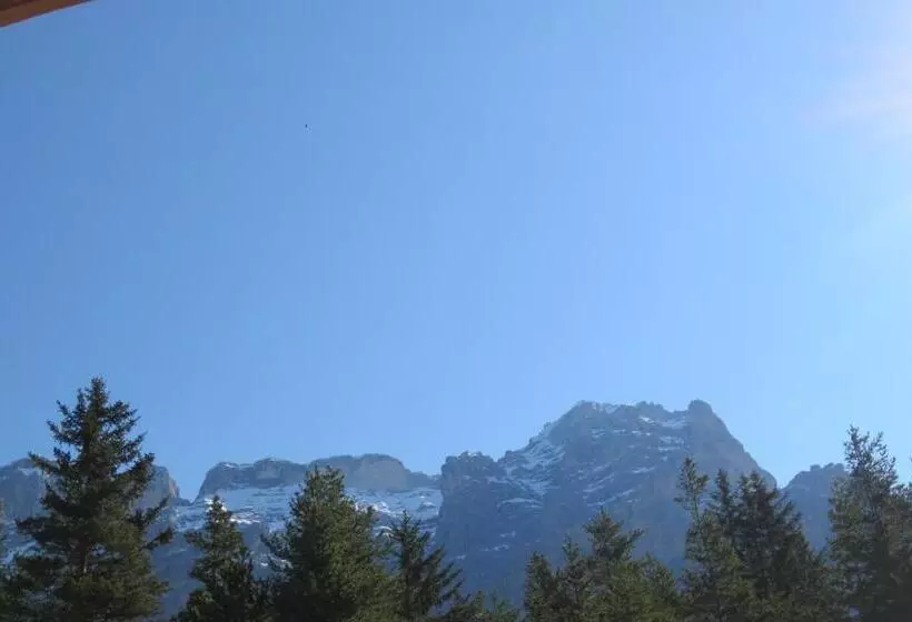 Отель Ciasa Ai Pini