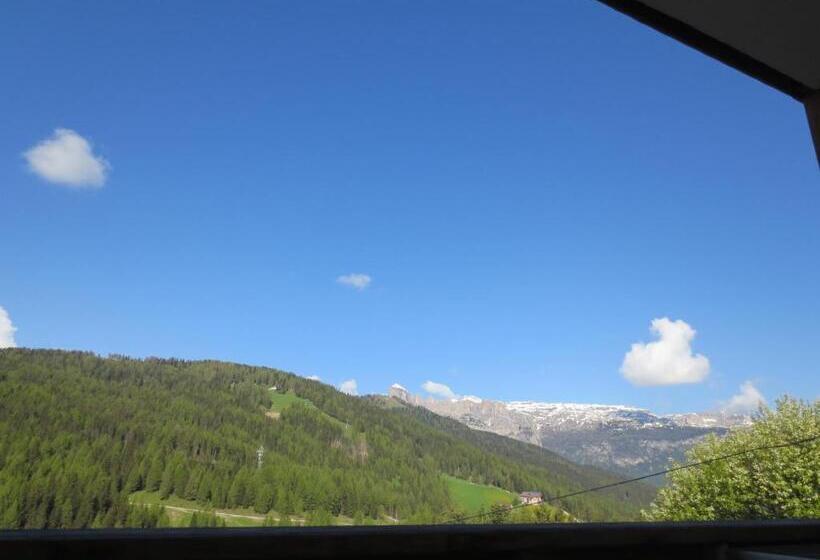 Отель Ciasa Ai Pini