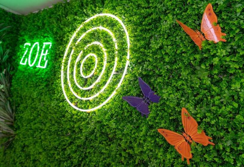 Zoe Hotel, Trypiti Beach Resort & Hive Water Park