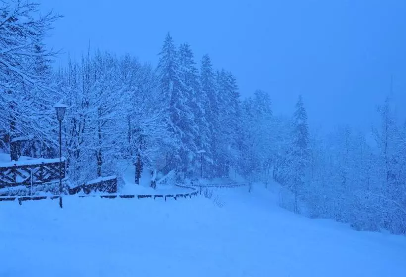 호텔 Garnì Carpe Diem