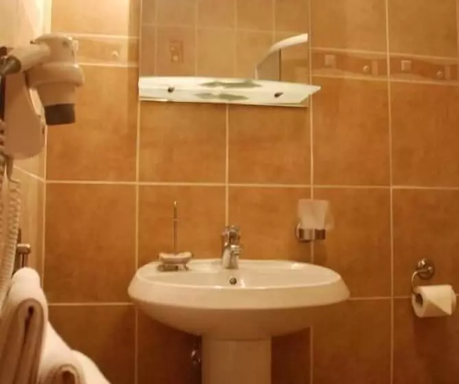 호텔 Hanul Domnesc