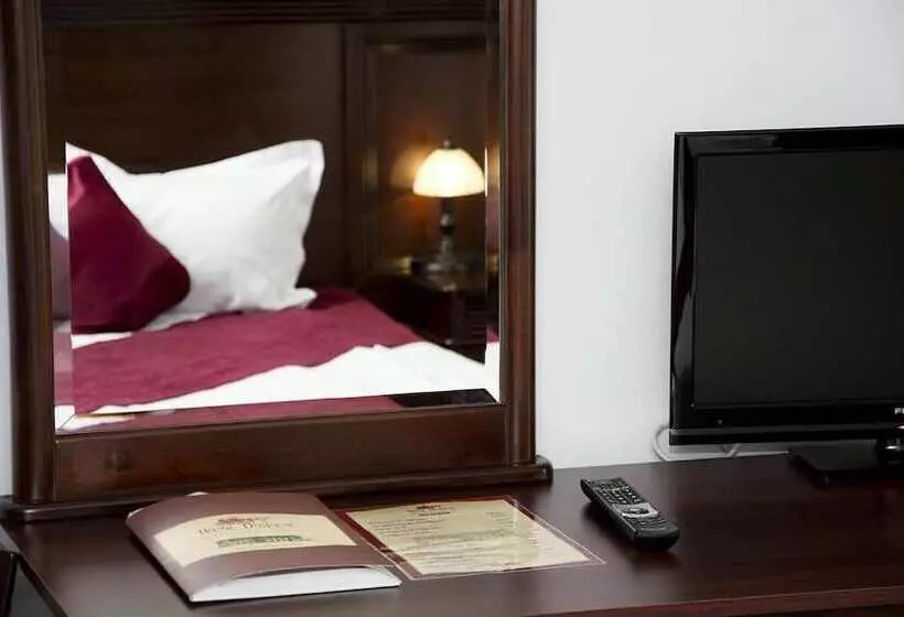 호텔 Hanul Domnesc