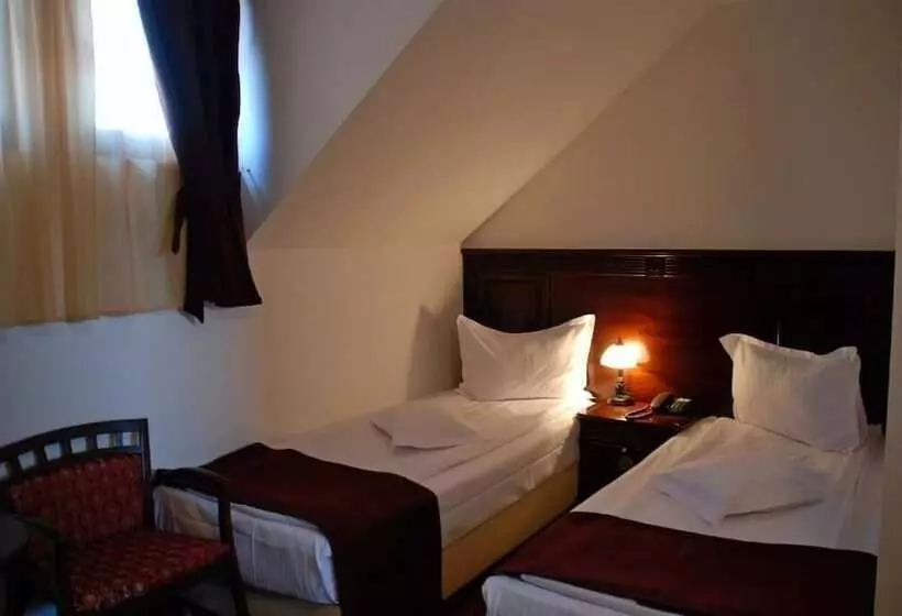 호텔 Hanul Domnesc