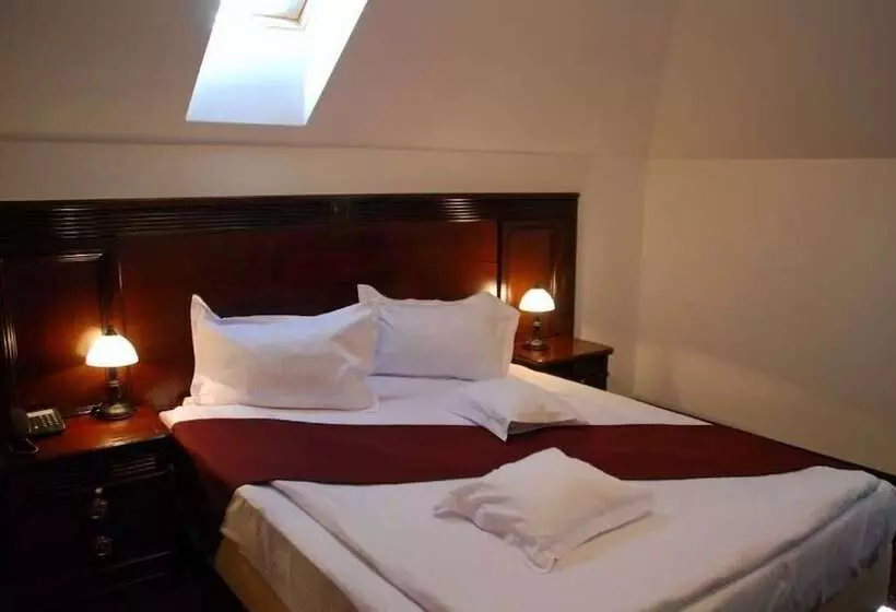 호텔 Hanul Domnesc