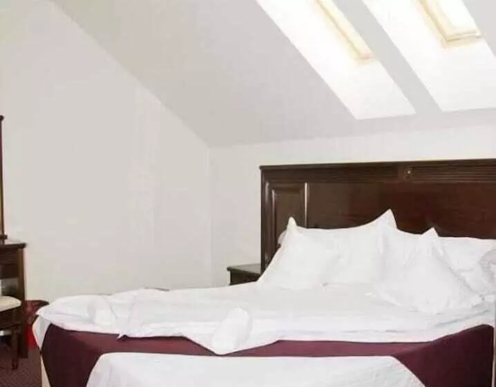 호텔 Hanul Domnesc