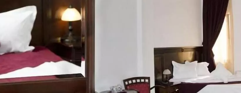 호텔 Hanul Domnesc