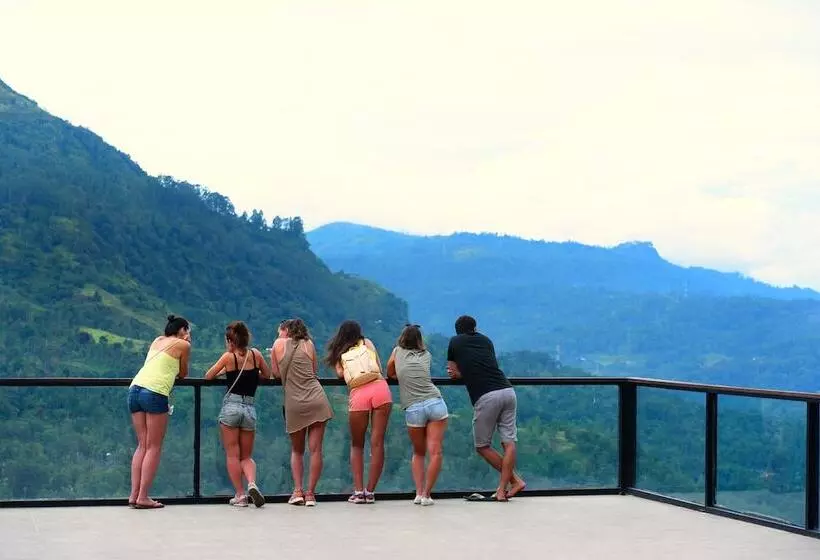 Hotel Oak Ray Tea Bush