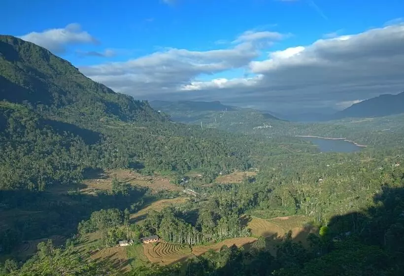 Hotel Oak Ray Tea Bush