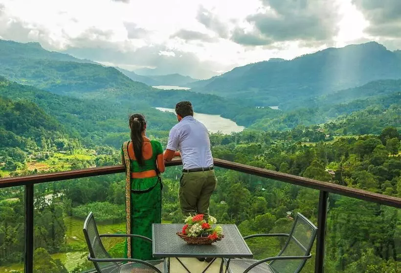 Hotel Oak Ray Tea Bush