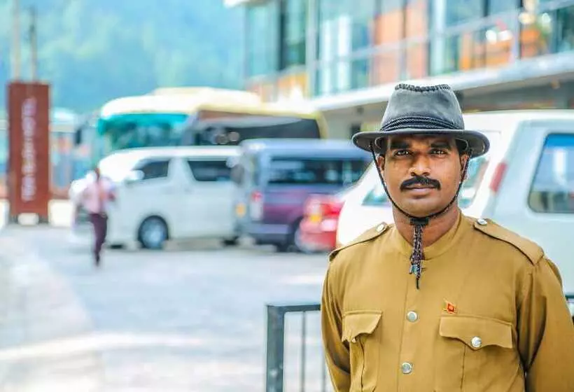 Hotel Oak Ray Tea Bush