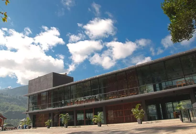 Hotel Oak Ray Tea Bush