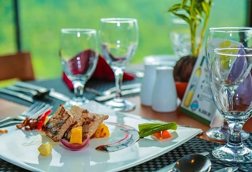 Hotel Oak Ray Tea Bush