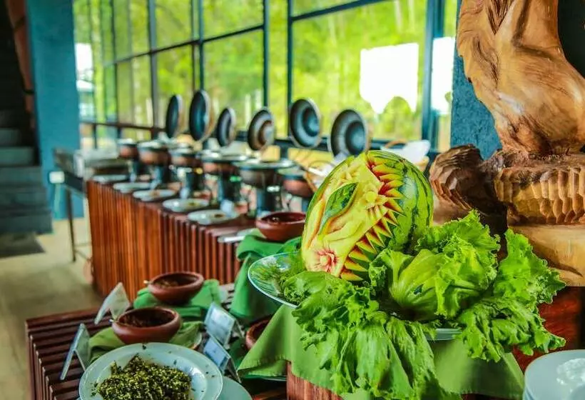 Hotel Oak Ray Tea Bush