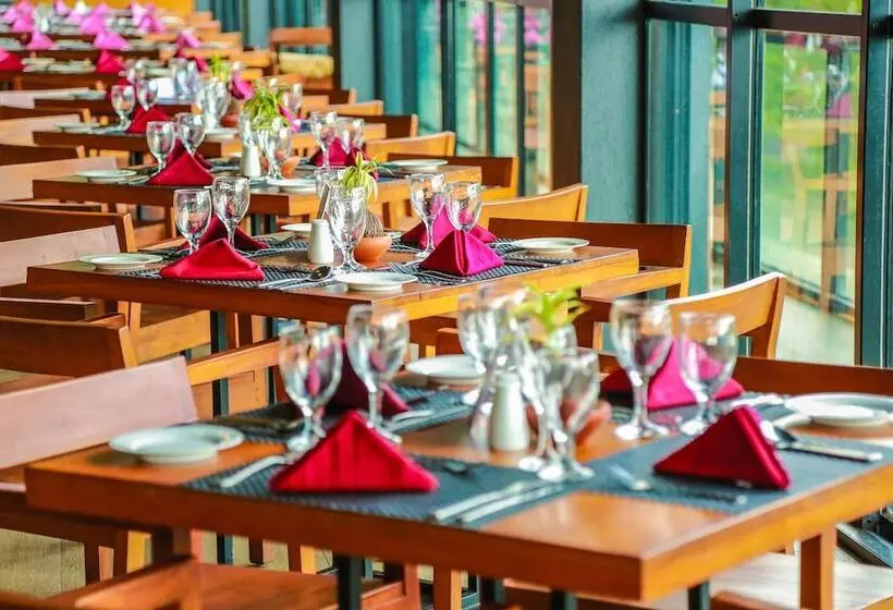 Hotel Oak Ray Tea Bush