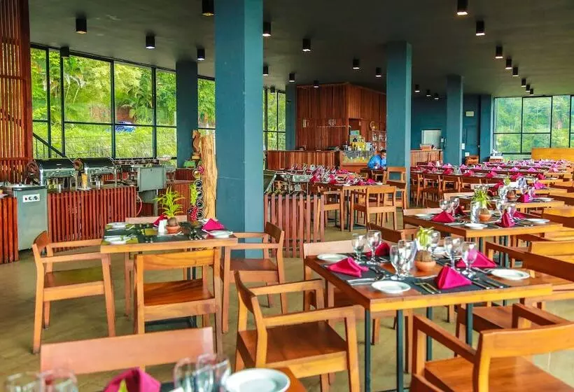 Hotel Oak Ray Tea Bush