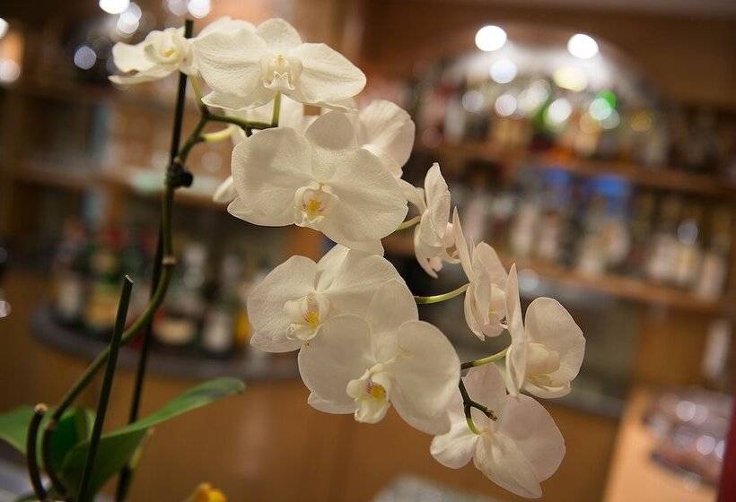 בית מלון כפרי St. Michael