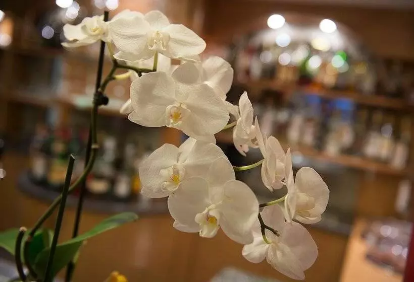 Отель St. Michael