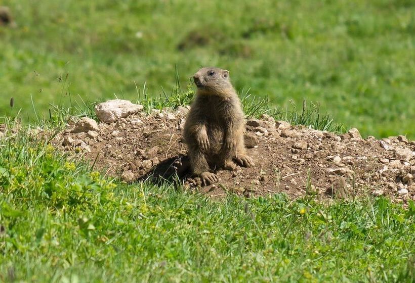 هتل Villa Kastelruth