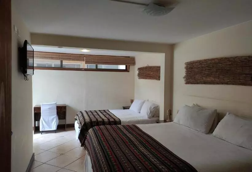 هاستل Hostal Geosol