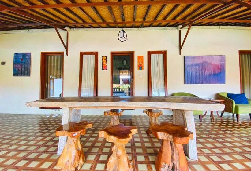 膳宿费 Urban Jungle House Bali