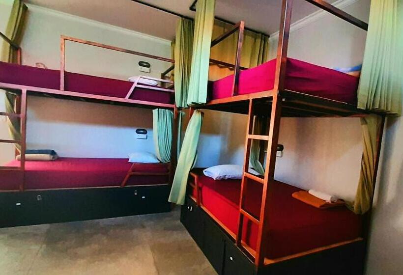 膳宿费 Urban Jungle House Bali