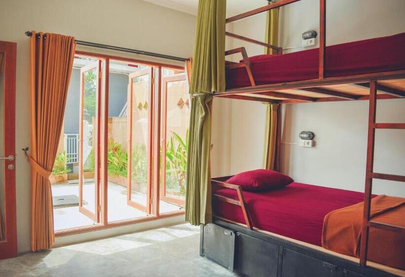 膳宿费 Urban Jungle House Bali