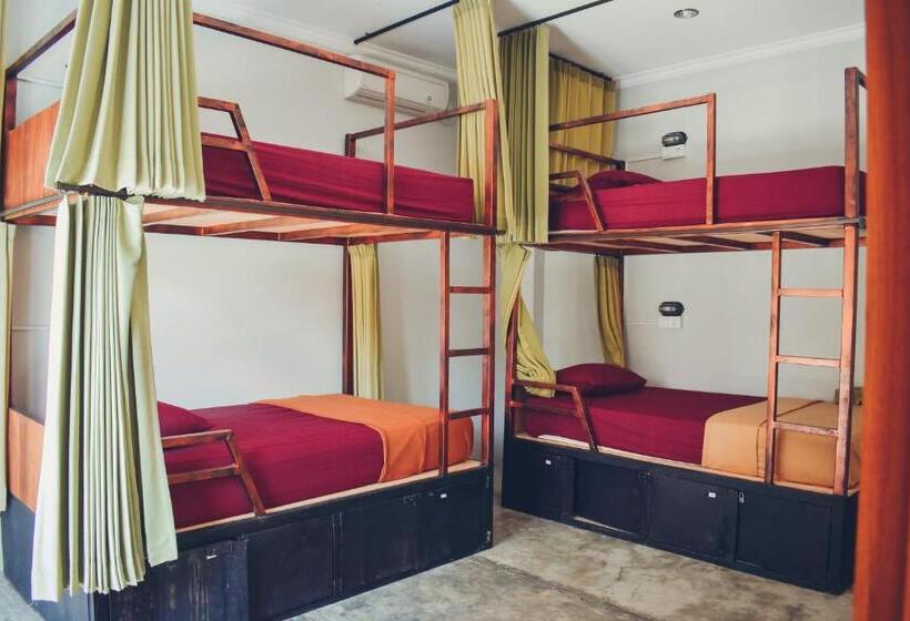 膳宿费 Urban Jungle House Bali