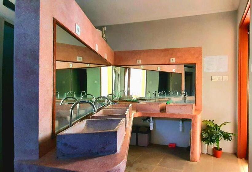 膳宿费 Urban Jungle House Bali