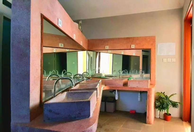 ペンション Urban Jungle House Bali
