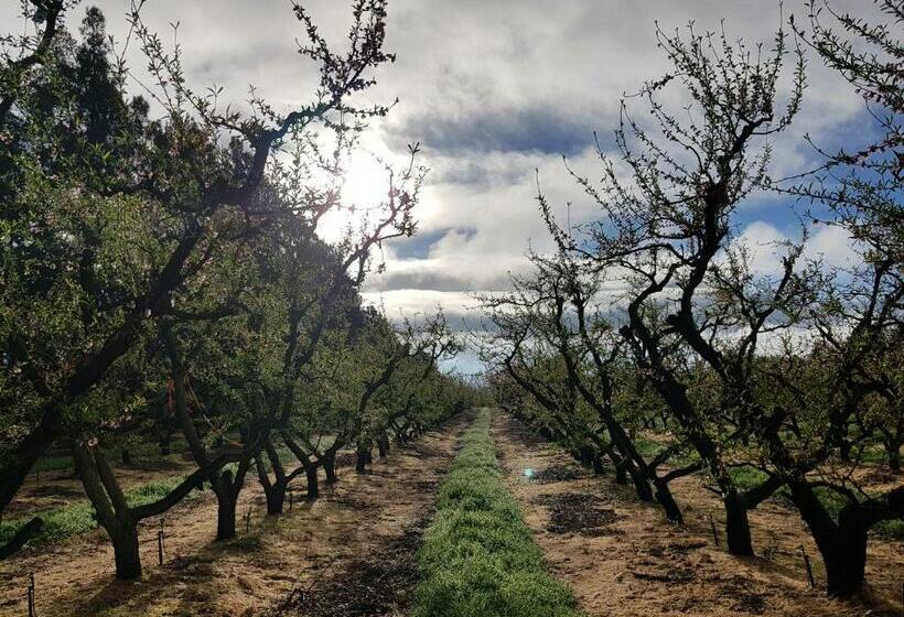 بنسيون Hoogwater Cottage