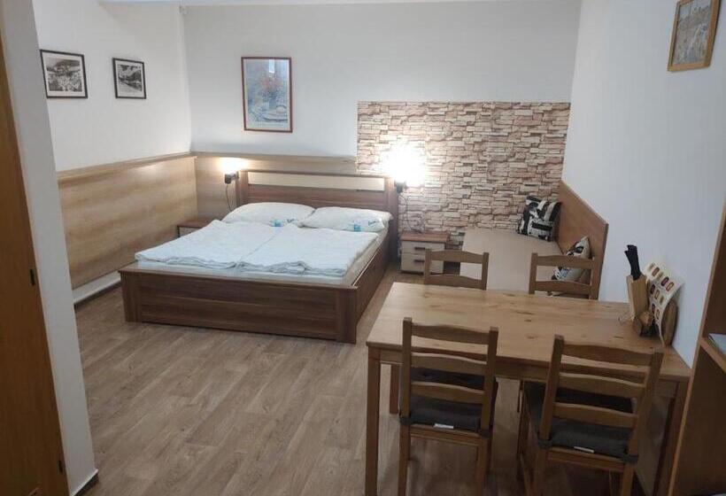 膳宿费 Suterénní Pokoj V Penzionu Kubu