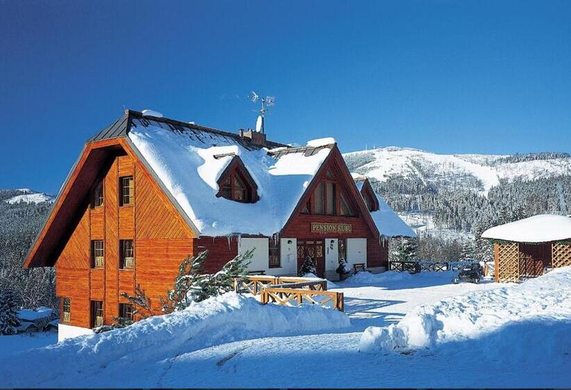 膳宿费 Suterénní Pokoj V Penzionu Kubu