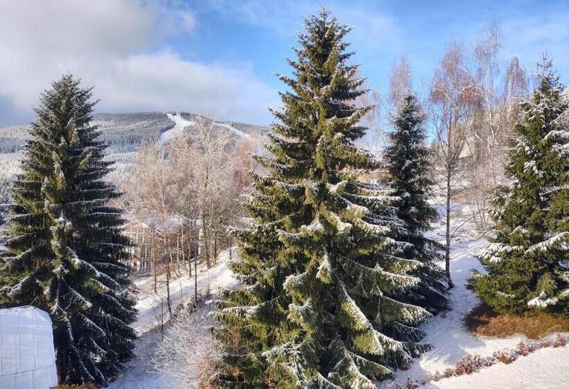 膳宿费 Suterénní Pokoj V Penzionu Kubu