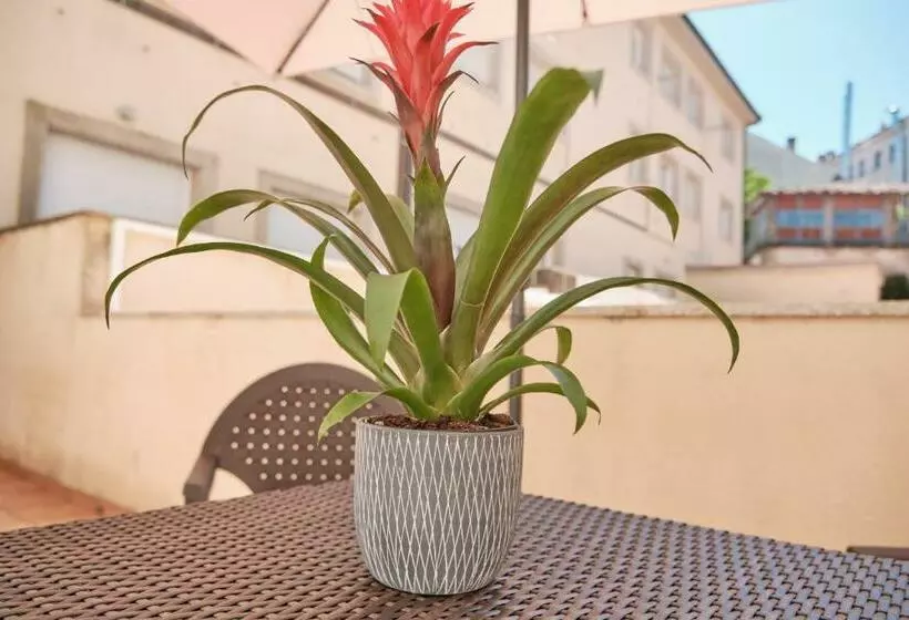 Peregrina Pension 4