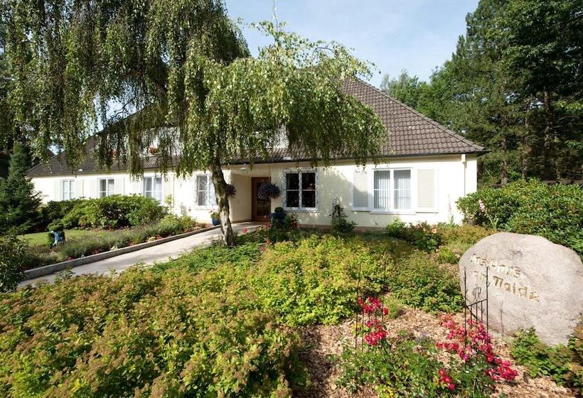 Boutiquehotel Das Haus Am Walde