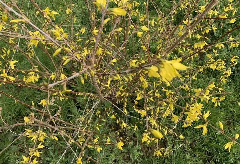 בית מלון כפרי Macon La Salle