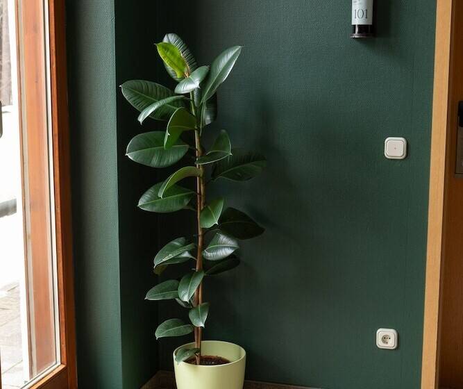 Hideauts Hotels Der Rosengarten